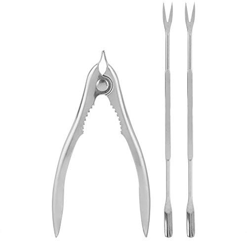 Seafood Tools Set multifunktionaler Edelstahl Nussknacker Muschel Fischgabel Garnelen Krabben Cracker mit gezackten Vertiefungen für Home Party Picknick Camping