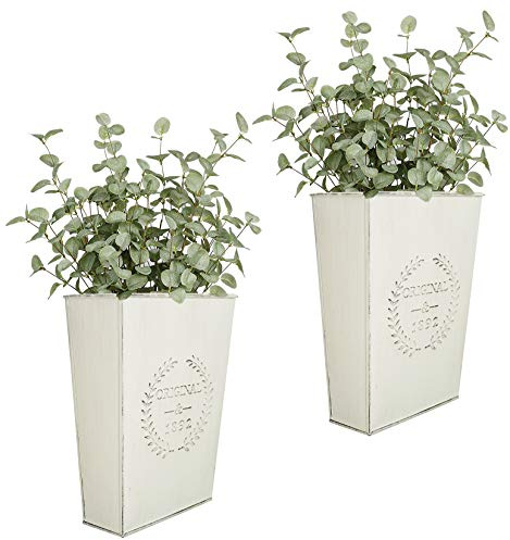 LESEN Uppsättning av 2 bondgård metall väggplanterare, rustik väggdekor land hängande vägg vas låda för växter blomma heminredning
