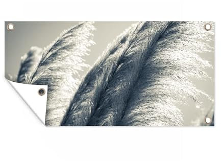 MuchoWow Poster exterieur Herbe de la pampa - Noir - Blanc - Nature Decoration murale 160x80 cm Résistant aux intempéries/soleil