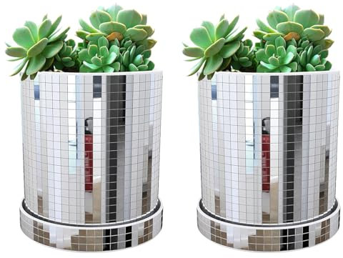 Xafrstyu Lot De 2 Pots De Fleurs Disco En Forme De Boule, Avec Support En Bois, Pot De Fleurs D'intérieur pour Plantes Grasses, Cactus Et Plantes Grasses, Décoration D’intérieur