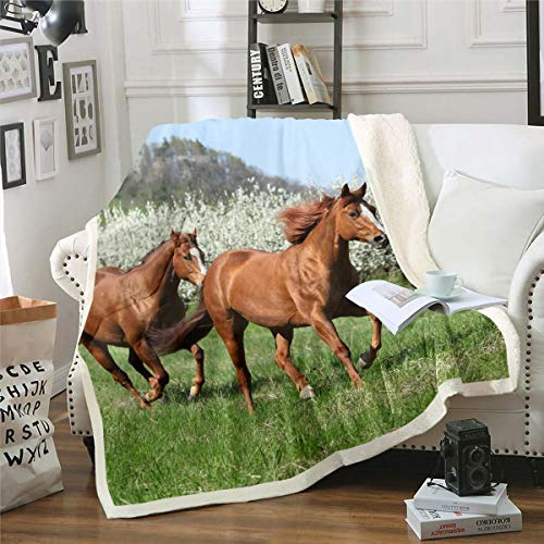 Loussiesd Pferd Kuscheldecke Galoppierendes Bauernhaus Gedruckt Wohndecke Frauen 3D Wildtier Muster Flanell Fleecedecke 150x200cm Wildlife Couchdecke