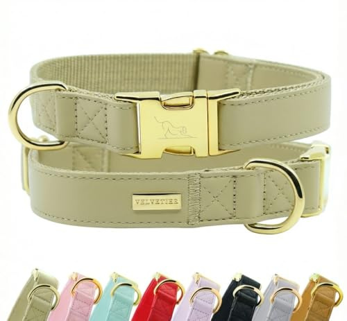 VELVETIER Hundehalsband Pistachio (Grün), veganes Leder, S/M 29-40 cm | Für kleine und mittlere Hunde, goldene Schnalle, veganes Leder, Dackel, Beagle