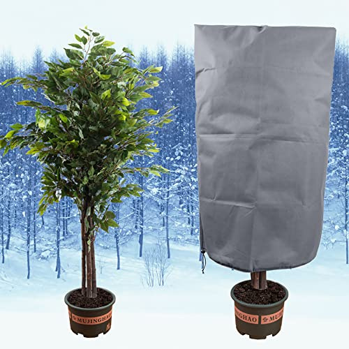 Winterschutz für Pflanzen, Reißfest Wiederverwendbar Frostschutz Pflanzenschutz Winter für Olivenbaum Palmen, Winter Pflanzenschutzhaube für kübelpflanzen, Frostschutz Schutzhaube (80x120cm)