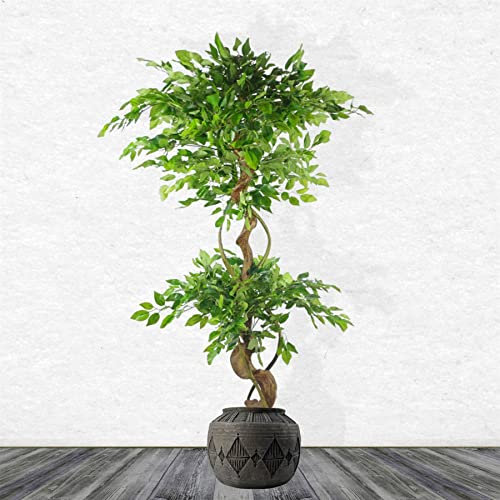 Extra Large Cachepot Planters