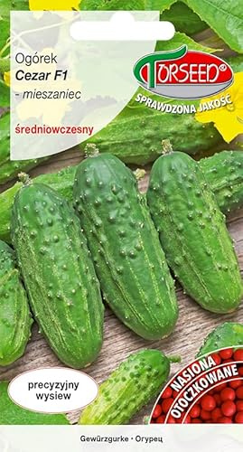 Verdica Cezar F1 Hybrid Gurkensamen Cucumis sativus – Kräftiges Wachstum, Krankheitsresistent, Perfekt zum Einlegen & Konservieren, Einfach zu Züchten, Natürliche Samenkleidung (50 Samen)
