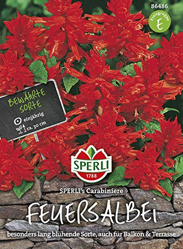 Sperli 86486 Salbei (Salvie) Carabiniere (Salbeisamen)