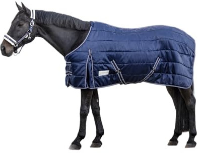 WALDHAUSEN Economic Stalldecke, 300 g, 155 cm, grün