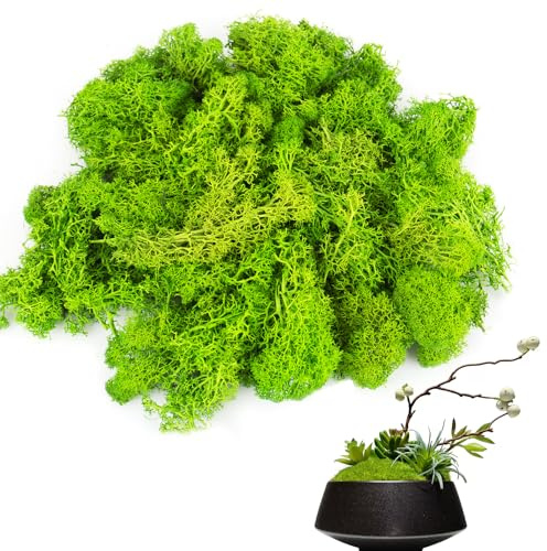 smtfcty Islandmoos 100g Kunstmoos zum Basteln Künstliches Moos Deko,Konserviertes Moos, Künstliches Moos, Kunstmoos, Moos Konserviert, Bastelmoos für Moosbilder, Als Deko Oder Zum Basteln
