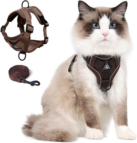 Katzengeschirr und Leine Set, Verbessertes ausbruchsicheres verstellbares Kittengeschirr mit Leine für kleine Katzen zum Spazierengehen im Freien, weiche atmungsaktive Mesh-Jacke mit reflektierenden