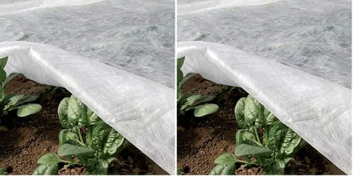 TENAX Ortoclima Plus 2,40x10 m Blanco, Velo Protector Antihielo Invernal para Plantas y Cultivos, de TNT Tejido no Tejido Transpirable 30 g/m², Protege Plantas y Hortalizas del Frío y el Viento
