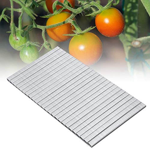Grapas Atadora para Jardinería, 10000 Unidades, Acero Resistente, Herramienta de Atado para Plantas, Tomate, Vid, Árbol y Fruta