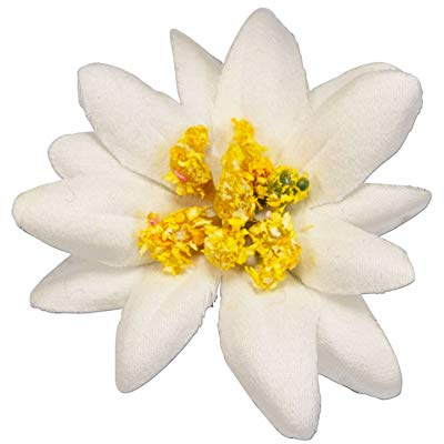 Alpenflüstern Pin Edelweiss-Stoffblüte Creme-weiß API117