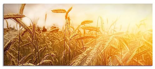 Pixxprint Glasbild Panorama, Wandbild aus Echtglas, Getreide im Sonnenlicht, 100x40 cm, inkl. Aufhängung und Abstandshalter