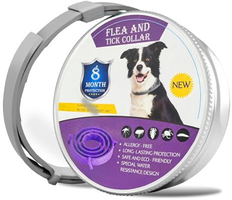 Collier pour Chien Anti-Insectes, réglable pour Grands, Moyens et Petits Animaux de Compagnie