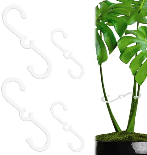 BOXOB 4 Pezzi Supporto per Fusto di Piante 2 Misure Supporto Monstera Gancio Stabilizzatore Monstera per Interni ed Esterni Piante Rampicanti da Appartamento Accessori Crescita (Trasparente)