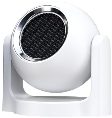 Riscaldatore portatile per auto da 12 V 120 W Riscaldatore rapido per parabrezza Sbrinatore per parabrezza Ventilatore d'aria Ventilatore elettrico Finestra Demister Parabrezza Asciugabiancheria