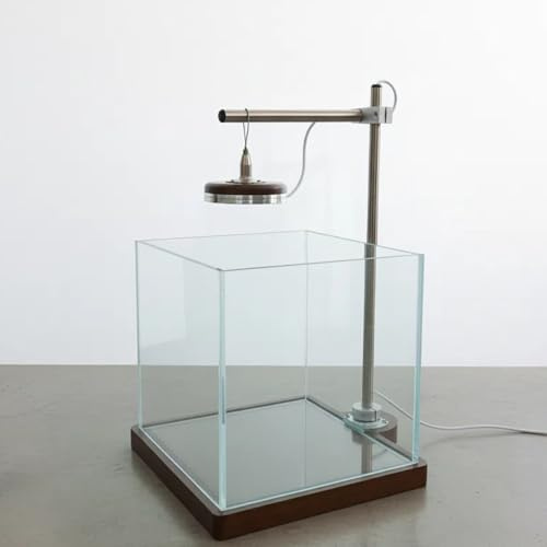 Tanque de peces pequeño de 1.8 galones con luz LED y soporte de madera, kit de inicio de nano acuario Betta de 8 pulgadas, incluye herramienta de limpieza, paño y alfombrilla para escritorio, oficina