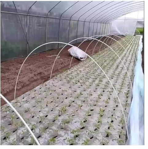 JCWGLY Arceau de Jardin Cerceaux De Jardin pour Tunnel De Culture, Cadre De Serre, 50 Pièces, Cerceaux De Support en Fibre De Verre pour Filet Anti-Oiseaux Et Protection des Plantes(4mm-200cm/79in)