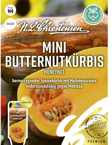 Mini Butternutkürbis Honeynut Samen, Saatgut