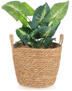 Tagtight Panier à plantes en jonc de mer, pot de fleurs bohème, pot de fleurs tissé, vase rond, décoration de jardin, panier décoratif en osier, panier tressé, déchets, 25 x 25 x 20 cm