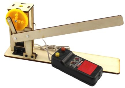 Perfeclan Modello di Cancello in Legno Puzzle 3D Fisica Gioca E Impara Giocattolo Facile da Montare Elettrico