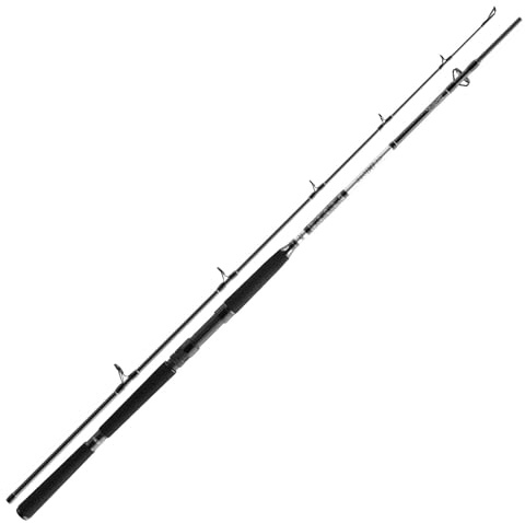 Daiwa BG Offshore Boat 2,10m 150-400g Bootsrute