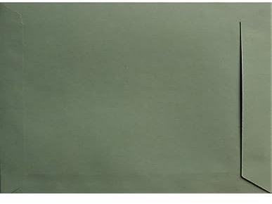 Netuno 100 Versandtaschen DIN C4 Grün 229 x 324 mm 110g Design Eko Briefumschläge a4 Öko Papier Umschläge Großbrief Versandtaschen C4 Papier Briefumschläge groß ohne Fenster Recycling Maxi Brief