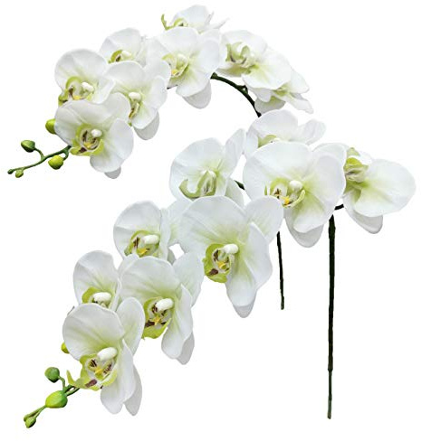 Fnize Faux Orchid Stems Real Touch Artificial Phalaenopsis Flowers Latex Petals 38 Inches 2pcs (Green White)