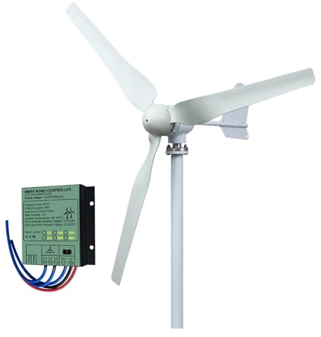 Generatori eolici orizzontali da 3KW 5KW a bassa velocità e a basso rumore con controller for l'illuminazione stradale domestica per casa, fattoria, illuminazione stradale, barche(3KW Wind Control,48V