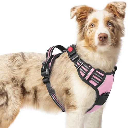 rabbitgoo Harnais Chien avec 3 Boucles, Facile à Mettre et à Enlever, Harnais Anti Traction pour Chien avec Poignée et Attache Devant, Réglable, Réfléchissant, Arnet pour Chiens Moyen, Rose, M