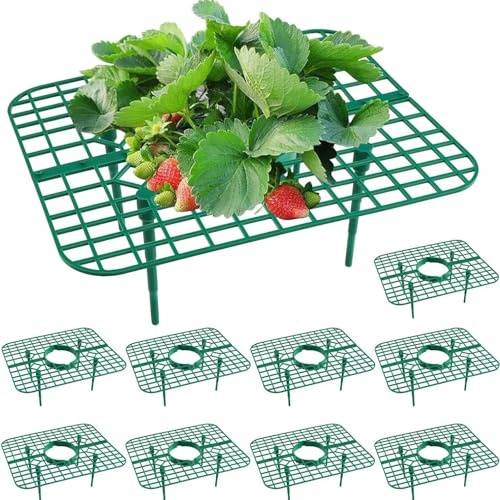Wuyue Hua Soporte de Cultivo de Fresas, Soporte de Protección para Fresas, Paquete de 10 Unidades