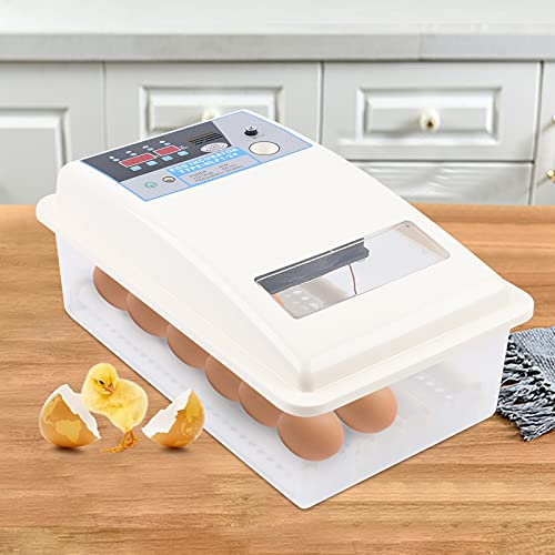 Brutautomat Vollautomatisch 24 Eier Brutmaschine Inkubator Vollautomatische Brutapparat Brutkasten Maschine mit Einem LED-Display und Bewegliche Walzen 220V, 39 x 25 x 13cm