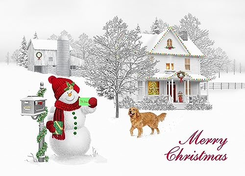 Vermont Christmas Company Box of Happy Snowman Christmas Cards - 15 Cards & 16 Foil Lined Envelopes - Packed in Attractive Red Box - Cards measure 4 1/2 x 6 1/4 Folded