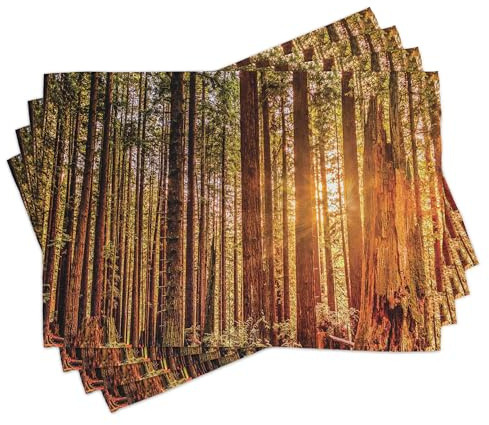 ABAKUHAUS United States Place Mats Set of 8, Tall Trees Red Woods Forest Humboldt California Sequoia Picture, Washable Fabric Placemats for Dining Table, Placemat 8 pcs, Orange Dark Brown Green