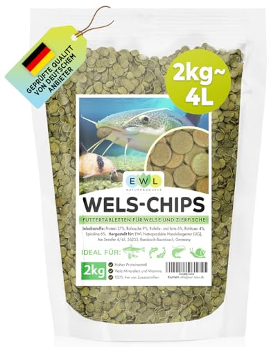 EWL Wels Futtertabletten 2kg (4L) | Wels Chips | Fischfutter mit Spirulina | Geprüfte Qualität vom deutschen Anbieter | Welstabletten für das Aquarium | Hauptfutter für vitale Bodenfische | Vorrat XXL