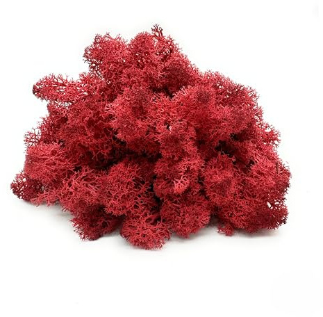 DIMOSA Muschio Stabilizzato, Muschio Decorativo | 13 Colori | 250 g / 500 g / 1000 g, Muschio di Renna stabilizzato per Decorazioni, Decorazioni o Modellismo (Rosso Bordeaux, 250g)