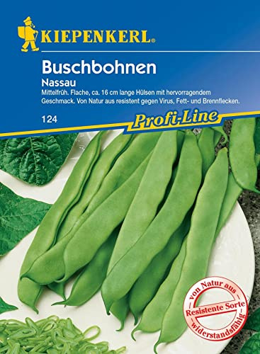Kiepenkerl 0124 Buschbohne Nassau, mittelfrüh mit hervorragendem Geschmack, resistent gegen Virus Fett- und Brennflecken