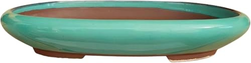Genérico BIOMATA Maceta Bonsai Ceramica para Kifu 19,2x15,1x3,8 cm | Tiesto Ovalado | Maceta para Bonsai Resistente a Cualquier Clima | Tiesto Ceramica con Drenaje (Verde)