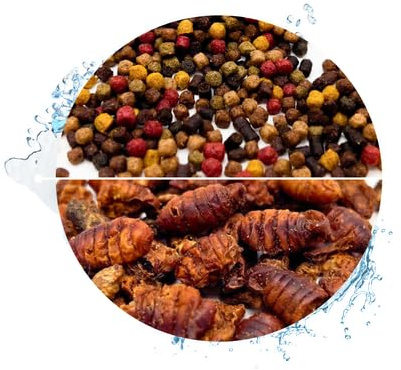 Warnick's Fischfutter Koifutter 8-Sorten-Mix 3 mm - 15 Liter | Mit 1 L Seidenraupen - Fischfutter für Koi & Zierfische - Schwimmfähig & gut verdaulich - Farbverstärkend mit Spirulina