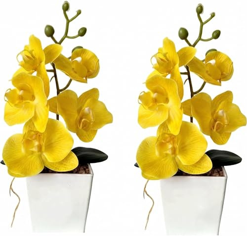 XIZHI 2 Pack Artificial Orchid Flowers with Vase,10 Inches Artificial Plant Bonsai Silk Flowers Butterfly Orchid with Pot for Wedding Office Home Decor Indoor Centerpieces (Yellow) | Bonsai Silk Flowers with Pot for Wedding Office Home Decor Indoor Centerpieces