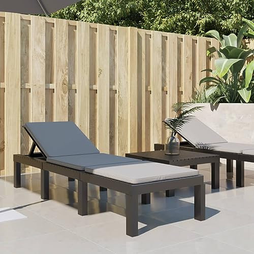LAPOOH Sonnenliege mit Kissen Anthrazit PP, Gartenliege, Liegestuhl, Sonnenstuhl, Sonneninsel Outdoor, Liegen, Gartenmöbel, Bäderliege, Relaxliege - 364723