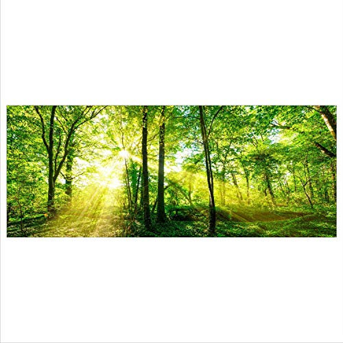 decorwelt Glasbild 125x50 XL Wald Grün Panorama Wandbild Glasbilder Modern Deko Glas Bild