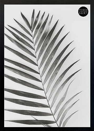 pf+a A1 (59.4x84.1cm) Poster Frame - Perspex Window - Verona Black Large Picture Frame for A1 Poster