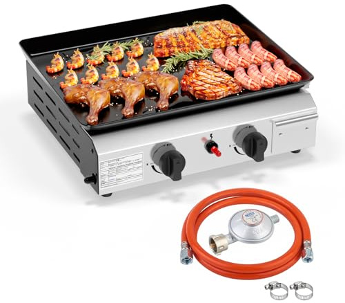 ROVSUN Gasgrill mit 2 Brennern,Gas grill Camping 4.8kW, Gasgrill aus Edelstahl, Tischgrill für Camping, Garten & Strand (2 Brennner, 44x36x16 cm)