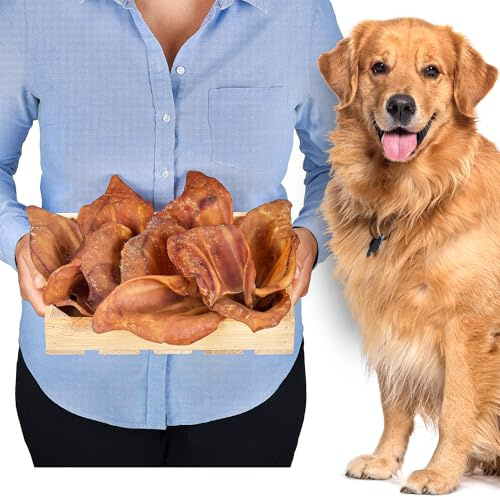 Orecchie di maiale per cani 10 pezzi (400g) | Snack naturali di orecchie di maiale intere essiccate | 100% naturali | Masticazione duratura | Senza cereali | Ideali per cani piccoli e grandi
