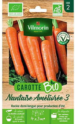 Carotte Nantaise Améliorée 3 - BIO