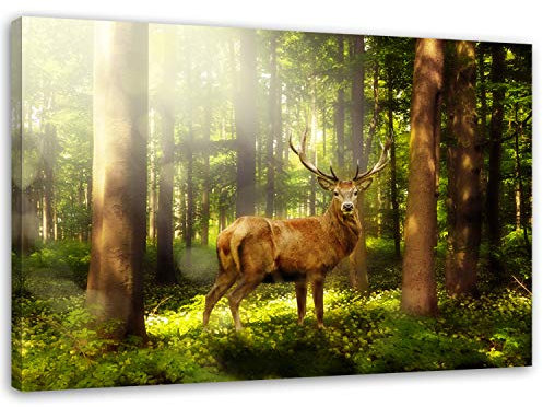 Feeby Bilder 70x50 cm 1 Teilig Wohnzimmer Schlafzimmer Büro Flur Küche Wandbilder Leinwandbilder Modern Bild auf Leinwand Wanddekoration Kunstdruck Design Hirsch Natur Braun Grün