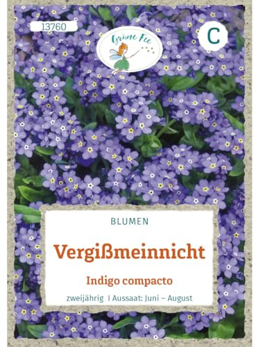 Grüne Fee - Vergißmeinnicht Indigo compacto Samen - 13760
