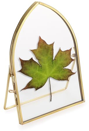 SUMTree Gold Glas Bilderrahmen, Fotorahmen aus Metall Glasrahmen für Gepresste Blumen, Desktop Glasbilderrahmen für Geburtstag, Hochzeiten, Häuser, Büros Blättriges Top, U-Bracket (15,3x10,2 cm)