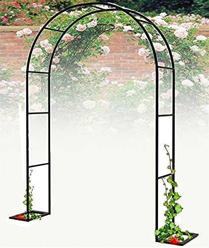 Grande arche de jardin en métal pour plantes grimpantes, roses, vignes, cage tubulaire robuste avec différentes options de largeur (120 cm, 350 cm)